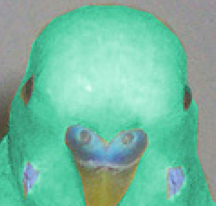 Text, Blend Mode & Opacity