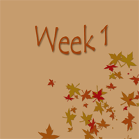 Start From Scratch Image 2